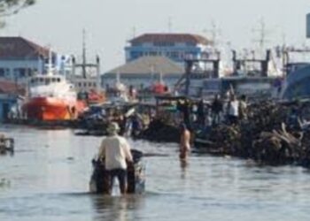 INSA & ALFI Bilang Tanjung Emas Tak Perlu Pindah, Robnya Yang Diatasi..