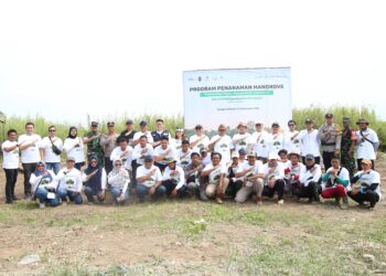 SPMT Grup Tanam 30 Ribu Mangrove di Pesisir Kalteng