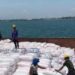 Sebanyak 2.900 Ton Pupuk Sriwijaya Dibongkar di Pelabuhan DABN