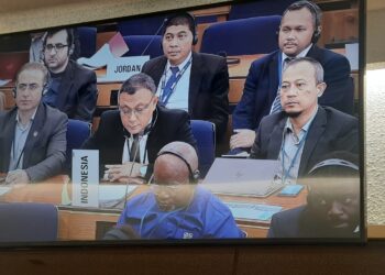 IMO Setuju Nusa Penida & Gili Matra Sebagai PSSA