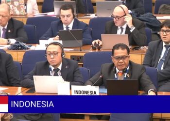 Hadiri Sidang IMO, Apa Yang Indonesia Cari..