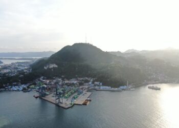 Pelabuhan Petikemas Jayapura Layani 92.266 TEUs