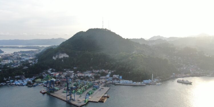 Pelabuhan Petikemas Jayapura Layani 92.266 TEUs