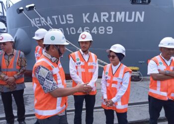 Pelindo Tak Bisa Lakukan Pengerukan, Bisa Masalah