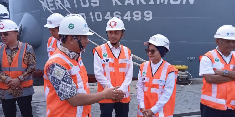 Pelindo Tak Bisa Lakukan Pengerukan, Bisa Masalah