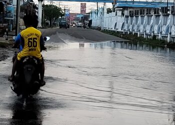 Banjir Air Rob Genangi Pelabuhan Belawan, Pemerintah Cuek Saja