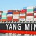 2024, Pendapatan Konsolidasi Yang Ming US$ 6,94 Miliar