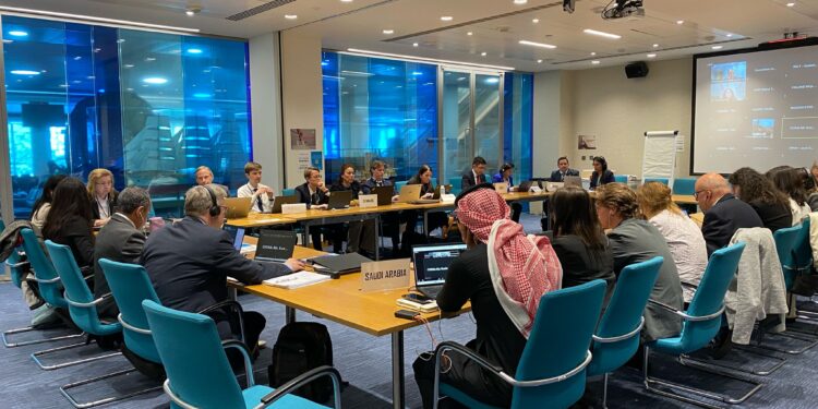 Dipercaya Jadi Technical Group IMO, Kemenhub Dorong Peningkatan Profil Maritim Indonesia