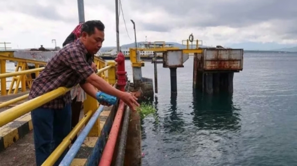 Keluarga Korban Tenggelamnya Kapal Tunu Pratama Jaya Lakukan Tabur Bunga