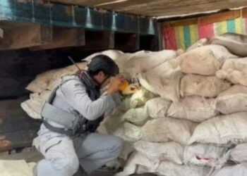 Bakamla Tangkap Kapal Sinar Bahtera Bawa 400 Karung Bawang Ilegal