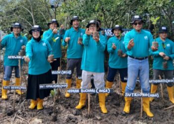 INSA Dumai Tanam Ratusan Bibit Mangrove Dalam Rangka HUT INSA
