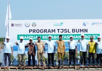 Pelindo Terminal Petikemas Tanam 50 Ribu Mangrove, “Mageri Segoro”