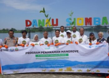 Pelindo Multi Terminal Grup Tanam 11.000 Mangrove di Medan, Dukung Pelestarian Lingkungan