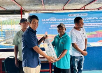 Pelindo Terminal Petikemas Dukung Pengembangan Usaha Budidaya Lobster di Ambon