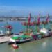 Terminal Teluk Lamong Perkuat Konektivitas Global  Melalui Maiden Voyage MV YM Continuity