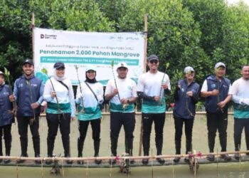 IPCM & EPI Tanam 2.000 Pohon Mangrove