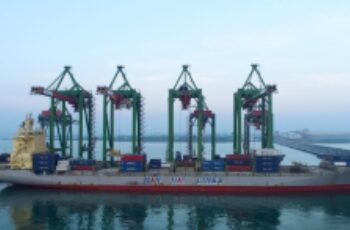 Awal 2026, Kinerja Operasional Terminal Teluk Lamong Tumbuh Positif