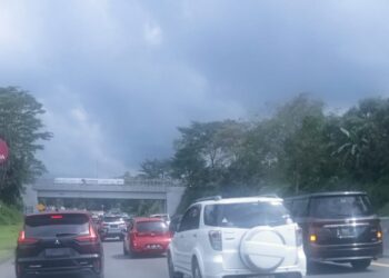 Pemudik Dihimbau Agar Maksimalkan WFH Untuk Atur Waktu Balik ke Jabodetabek