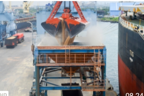 70.392 Ton Gandum Masuk Banten Dibongkar PTP Nonpetikemas, Untung SKB Lebaran Belum Berlaku