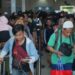 Terserap 92,5%, Tarif Diskon Pelni Tinggal Sedikit Lagi