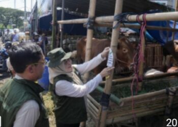 Pelindo Petikemas – Pemkot Surabaya Pastikan Hewan Kurban Aman Untuk Masyarakat