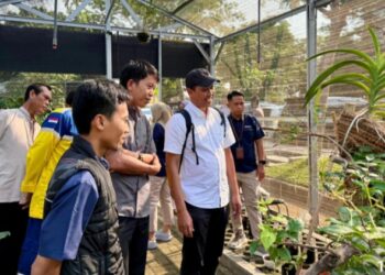 Langkah Awal Pengayaan Diversitas Tumbuhan di Terminal Teluk Lamong