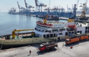 Untuk Kebutuhan Idul Adha di Jakarta, Pelni Angkut 825 Ekor Sapi Dari Kupang