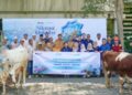 TTL Salurkan 12 Sapi dan 21 Kambing Korban ke Masyarakat Sekitar