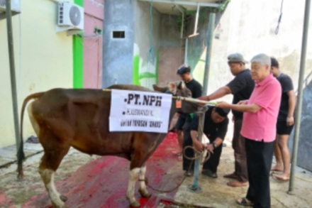 Yayasan Annas Salurkan Daging Qurban ke Ratusan Eks TKBM Pelabuhan Priok