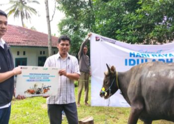 Sebanyak 26 Hewan Korban IPC TPK Disalurkan ke Masyarakat di Wilayah Operasionalnya
