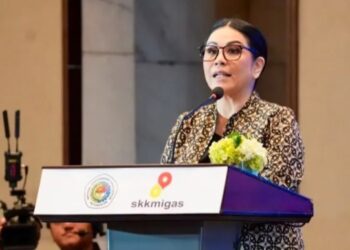 INSA-SKK Migas Selaraskan Kebutuhan Kapal Lepas Pantai