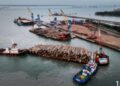 Semester 1, Kinerja Pelindo Multi Terminal Positif