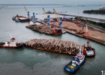 Semester 1, Kinerja Pelindo Multi Terminal Positif