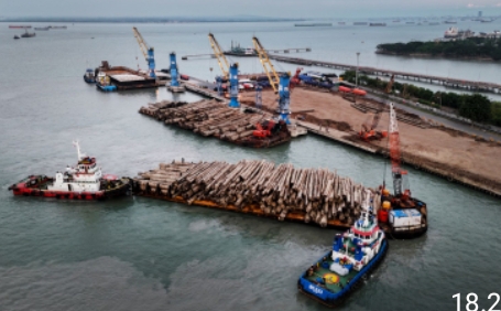 Semester 1, Kinerja Pelindo Multi Terminal Positif