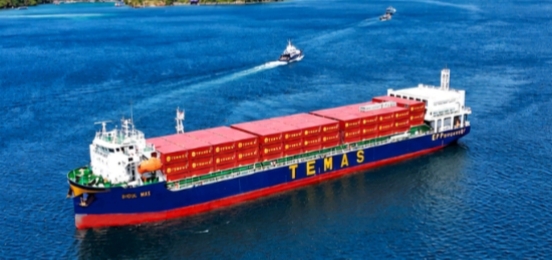 MV Digul Mas, Kapal Kontainer Elektrik Pertama Milik Temas Tbk Beroperasi di RI