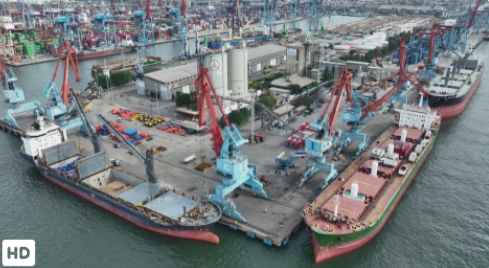 Hingga Juli 2026, Throughput PTPNonpetikemas Capai 31,39 Juta Ton