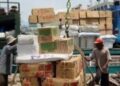 Transisi Adil Pekerja Pelabuhan Di Masa Depan