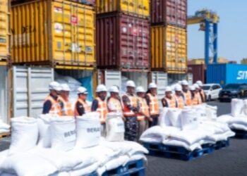 BC Jatim Tindak Importir Nakal, Ratusan Ton Beras & Garam Diberitahukan Sebagai Ammonium Chloride