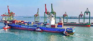 Terminal Teluk Lamong Terus Berinovasi, Bertransformasi Sebagai Bagian Ekosistem Pelindo